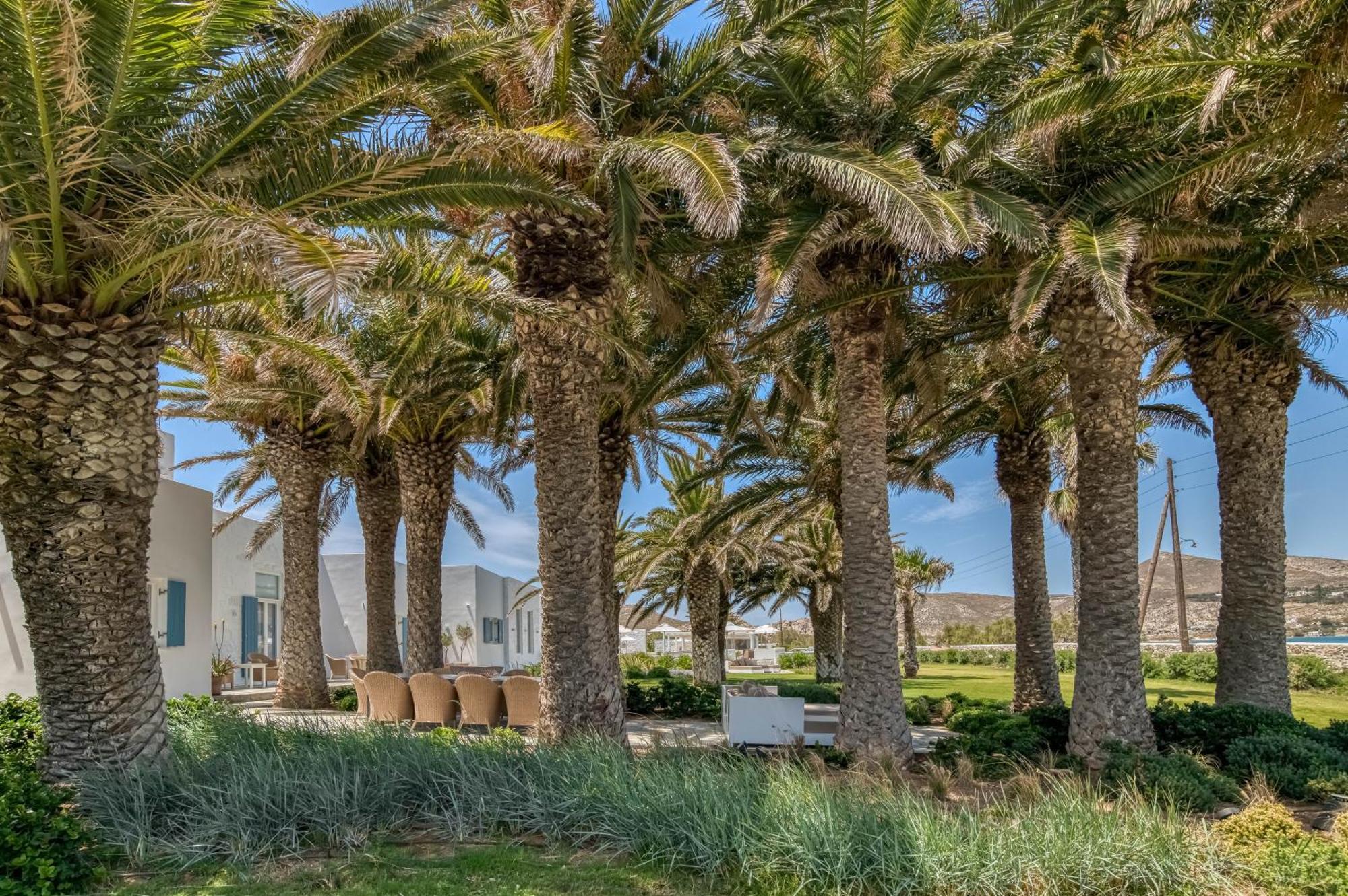 Villa Bellonia 나오우사 외부 사진